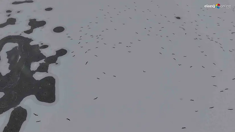 Termometreler çakıldı, Cip Barajı dondu: yürümek değil izlemek bile üşütüyor