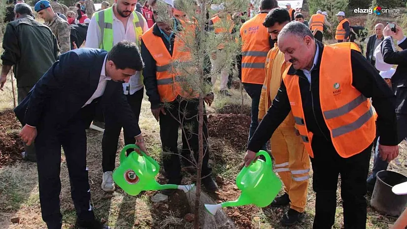 DEPSAŞ Enerji'den Makam Dağı'na 3 bin fidanlık yeşil dokunuş