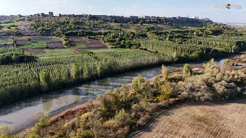 Dicle Nehri'nin 100 kilometrelik kısmı 'nehir' statüsünde tanımlanmıyor