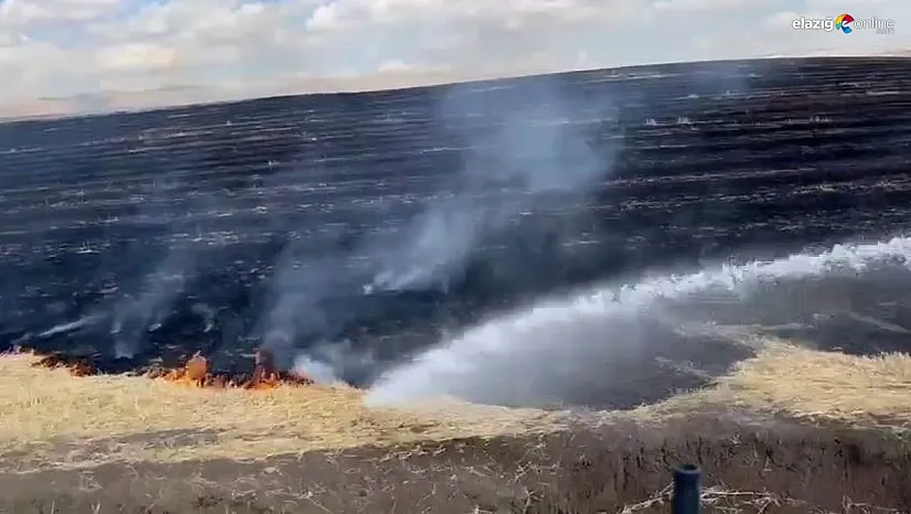 Diyarbakır'da anız yangını