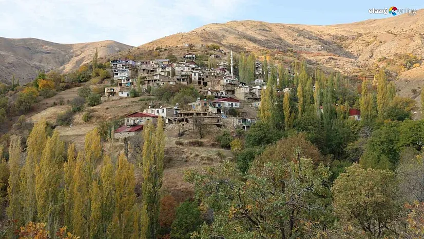Diyarbakır'da asırlık kerpiç evler arasında renk cümbüşü