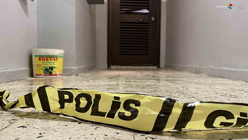 Diyarbakır'da bir şahıs anne ve ağabeyini yataklarında öldürdü