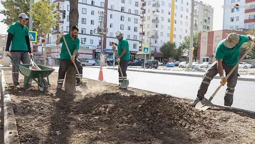 Diyarbakır'da cadde ve bulvarları yenileniyor