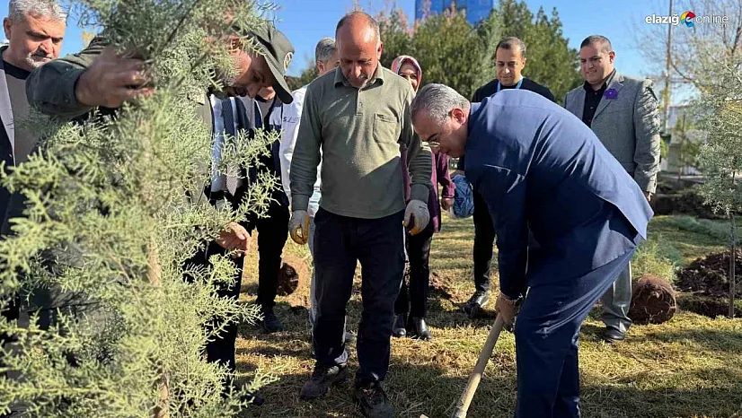 Diyarbakır'da Dünya Prematüre Günü etkinliği