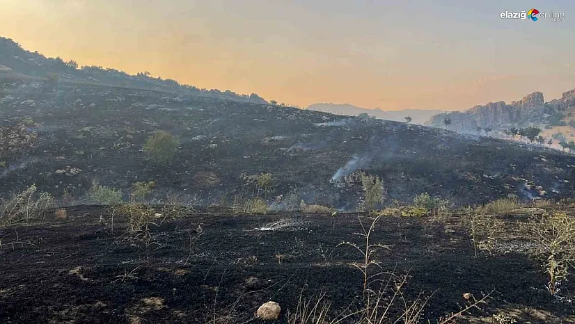Diyarbakır'da merada başlayan yangın ormanlık alana yayıldı