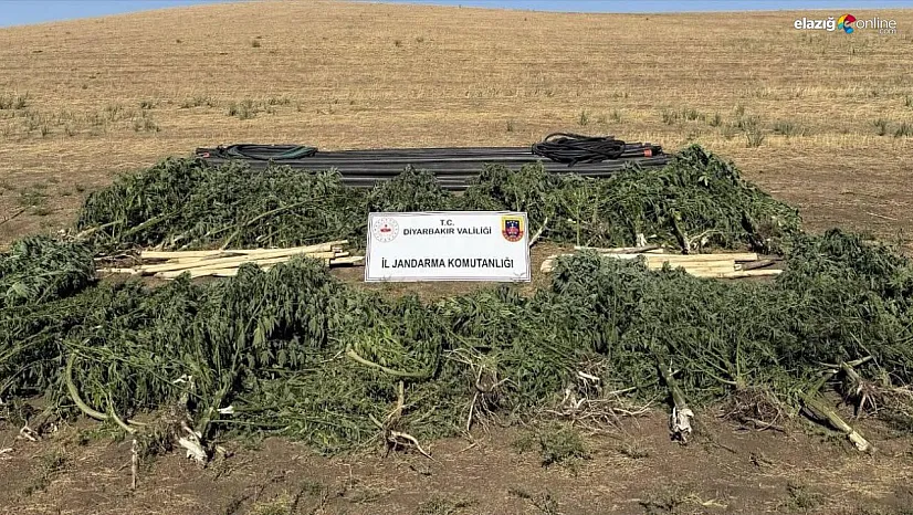 Diyarbakır'da uyuşturucuya geçit yok!