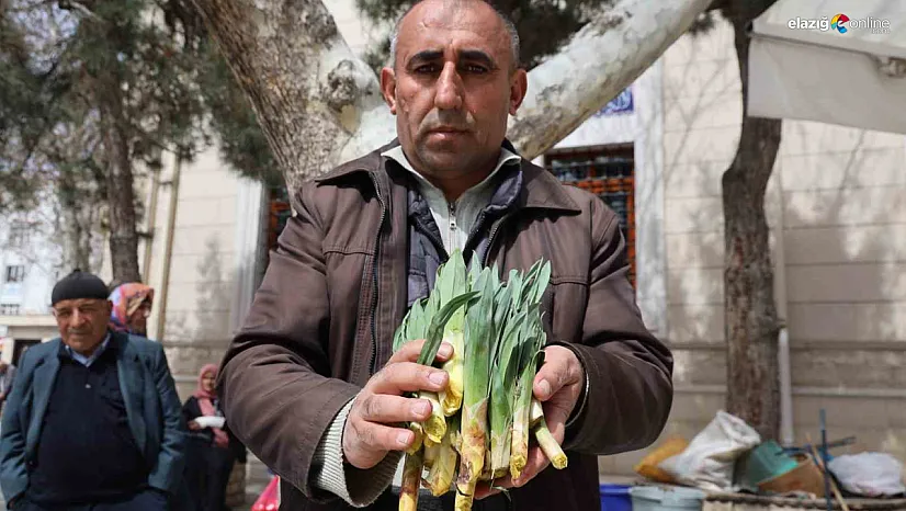 Elazığ'da Şifalı Çiriş Otu Tezgahlarda! Faydaları Saymakla Bitmiyor!