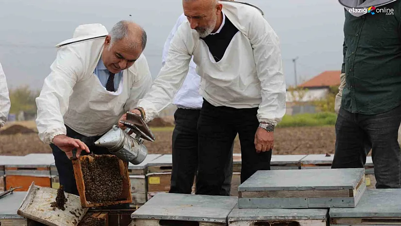 Elazığ Yaylalarından Gelen Lezzet: Arıcıların Geven Balı Çalışmaları Sürüyor!