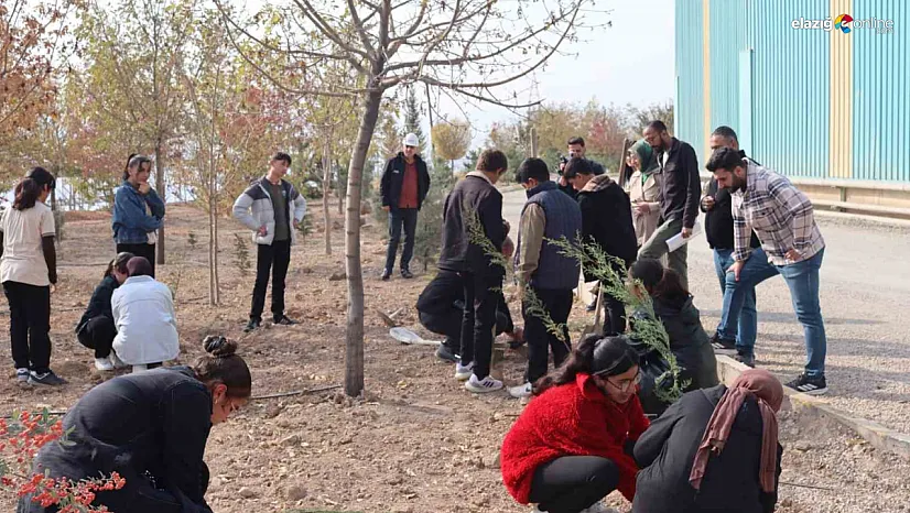 Elazığ'da Yeşil Vatan Seferberliği: Seza Çimento ve Öğrencilerden Doğaya Nefes!