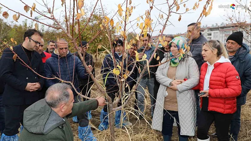 Elazığ'da Meyve Ağaçlarında Verim Artışı için Eğitim Seferberliği