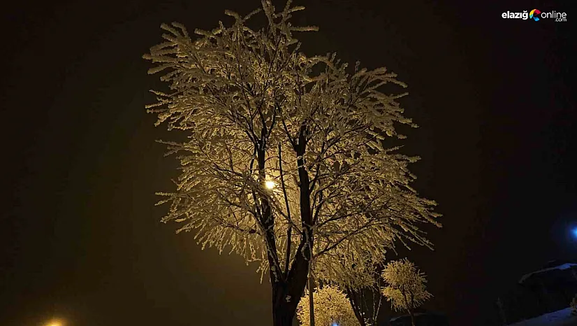 Elazığ buz kesti: Eksi 10 derecede şehir kristal örtüyle kaplandı!