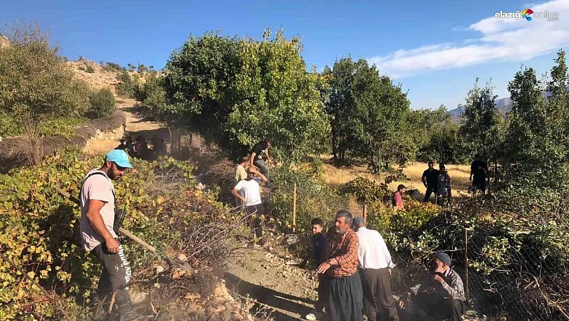 Vatandaşlar ağaçlık alanda çıkan yangın için seferber oldu!
