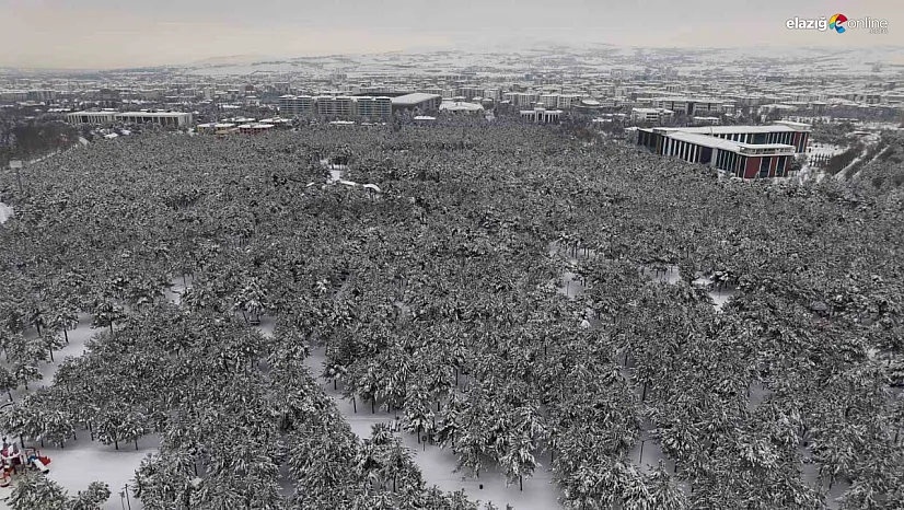 Binaların arasında saklı bir kış bahçesi: Beyaz esaret değil, beyaz zarafet!