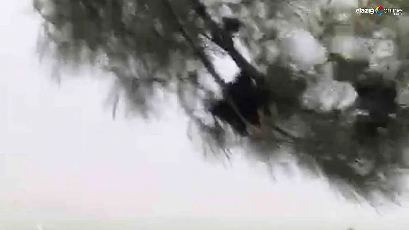 Koçkale Mevkiinde Fırtına Paniği: Elazığ'da Şiddetli Rüzgar Etkili Oldu!