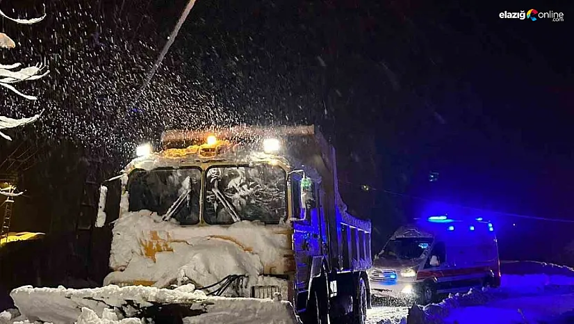 Elazığ'da hasta vatandaş için ekipler seferber oldu