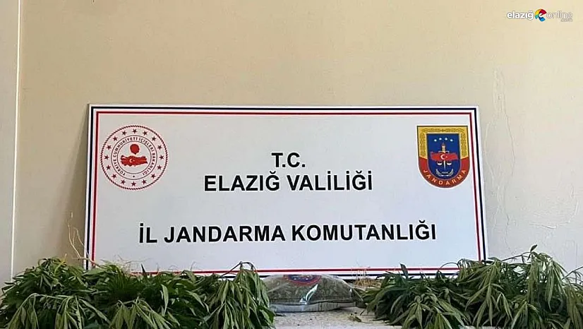 Jandarmadan eş zamanlı uyuşturucu operasyonu