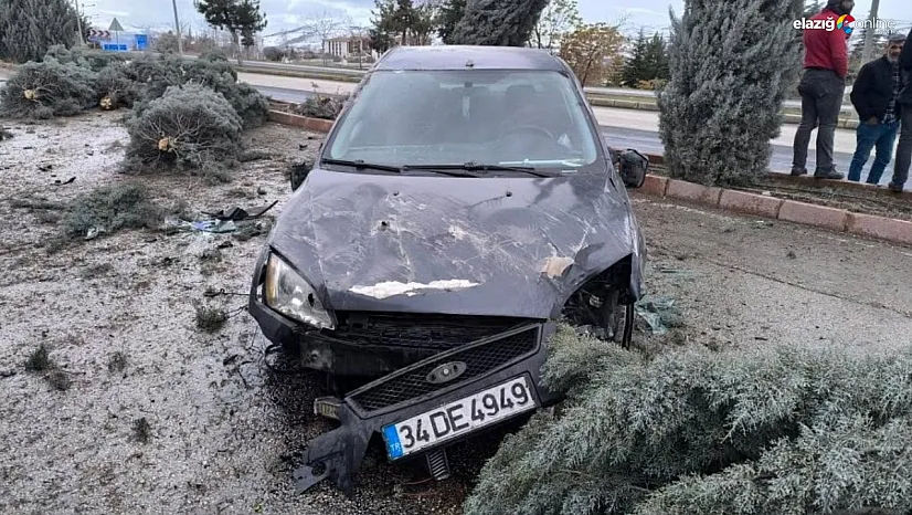 Kaldırıma çıkan otomobil ağaçları biçti!