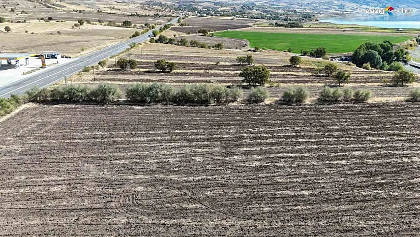 Fransa'dan köyüne döndü, sera kurulumu için çalışmalara başladı