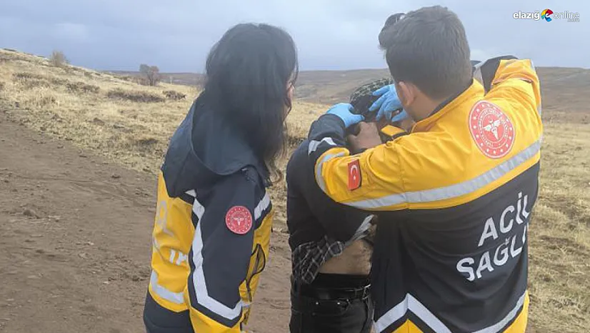 Karakoçan'da Yıldırım Dehşeti: Sürü Sahibinin Tam Yanına Düştü