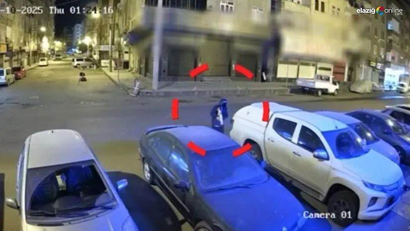 Diyarbakır Merkezli Suç Örgütüne Darbe: 25 Kişi Tutuklandı!