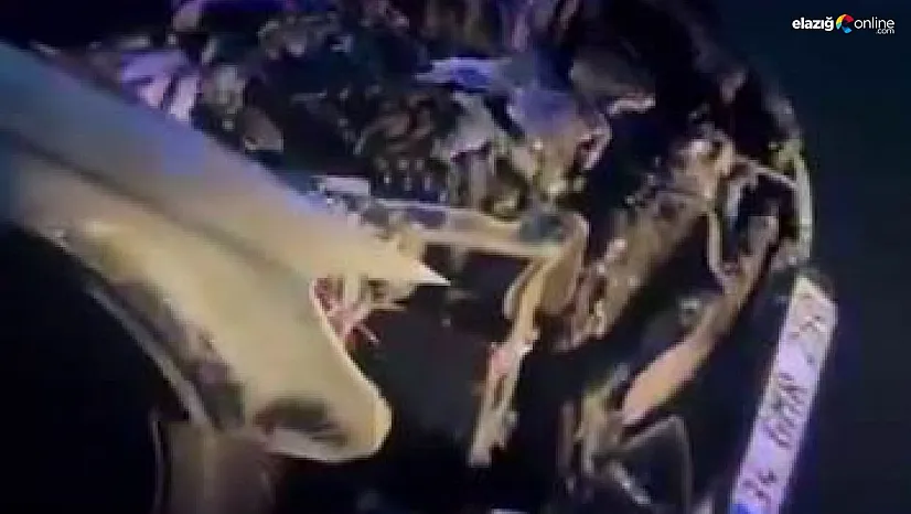 Lüks araç alevlere teslim oldu