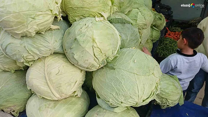 Muş lahanaları Diyarbakır'da tezgahlarda yerini aldı