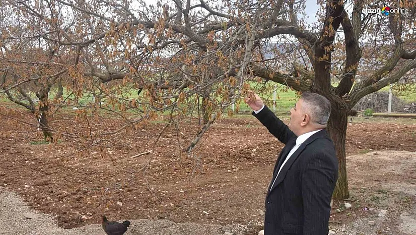 Zirai Donun Ardından Malatya Alarmda: 'Destek Gelmezse Binlerce Esnaf İflas Edebilir!'