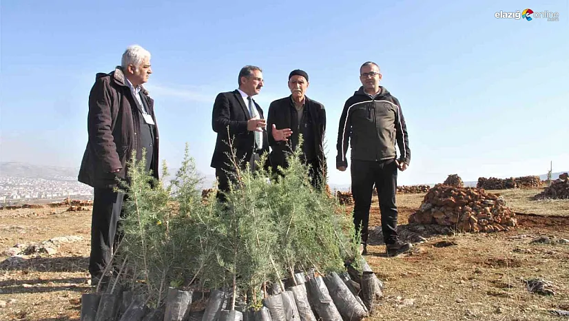 Taşlık araziyi ormana çevirmişti: Yetkililer teşekkür edip fidan desteğinde bulundu