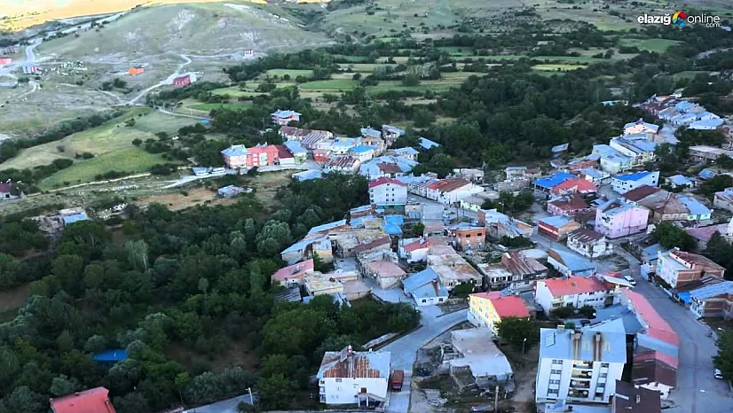 Tunceli'de 2 çocuğa cinsel istismarda bulunduğu iddia edilen şahıs tutuklandı
