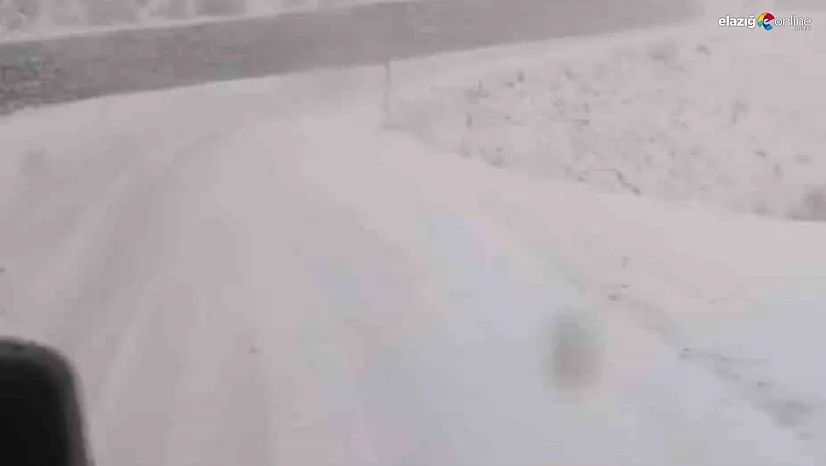 Tunceli'de, kar yağar yağmaz mücadele başladı