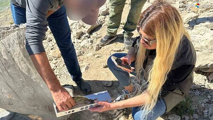 Tunceli'de Kaçak Balık Avına Ceza!