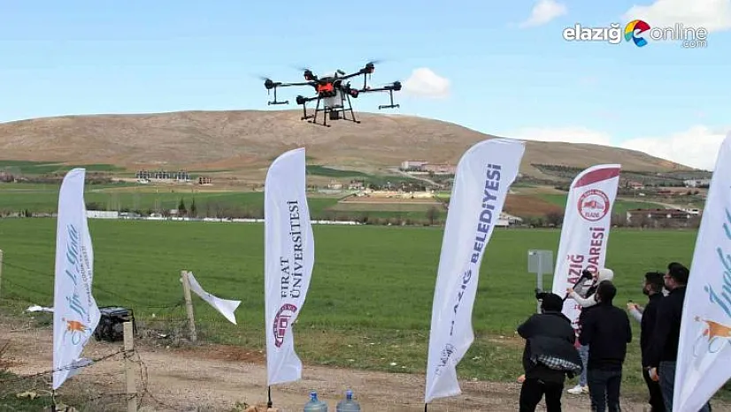 Türkiye'de bir ilk: Dron ile ücretsiz ilaçlama