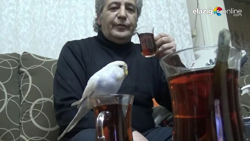 Çay tiryakisi 'Maviş'in tutkusu görenlerin yüzünde tebessüm oluşturuyor