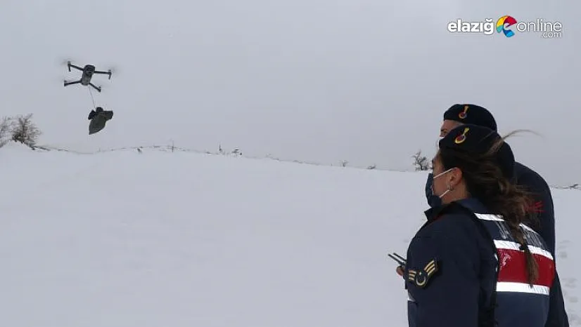 Tipi yolu kapattı, jandarma ekipleri hastaya ilacını drone ile ulaştırdı