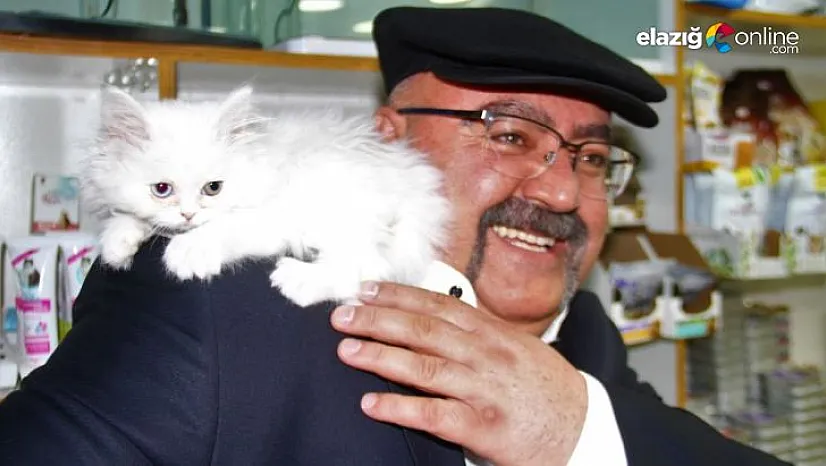 Yavru kedi dükkanın ve müşterilerin maskotu oldu