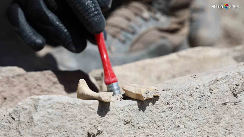 Elazığ Tadım Kalesi'nde 6 Bin Yıllık Ritüel İzleri!