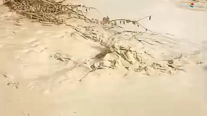 Baskil'de Şiddetli Yağış: Dereler Taştı, Tarım Arazileri Zarar Gördü!