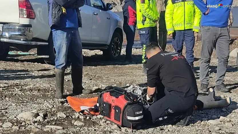 Elazığ'da Feci Kaza: Balık Çiftliğinde Görevli Mühendis Aracın İçinde Can Verdi!