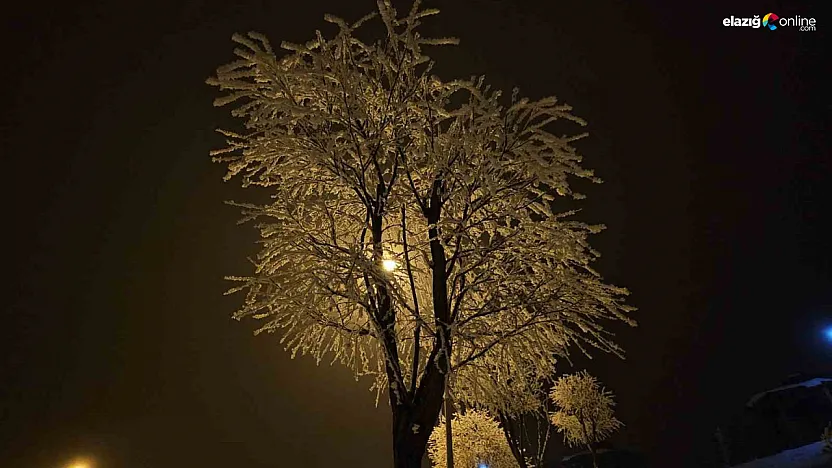 Elazığ buz kesti: Eksi 10 derecede şehir kristal örtüyle kaplandı!