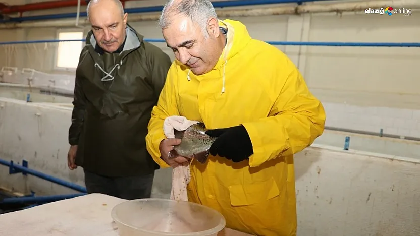 Elazığ'da su ürünleri üretimi tam gaz! Hedef 5 milyon yumurta