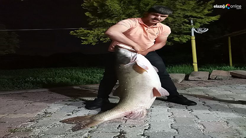 Elazığ Palu'da Sürpriz Av! Dev Turna Balığı Görenleri Hayrete Düşürdü!