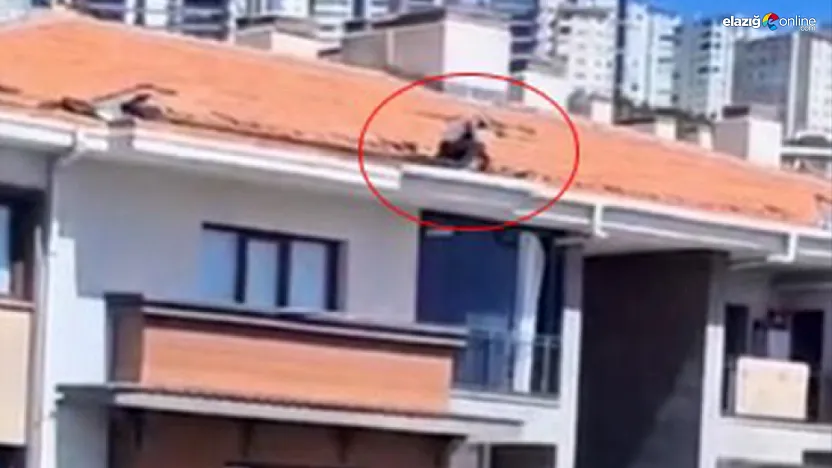 Elazığ'da İşçinin Tehlikeli Çalışması Kameraya Yansıdı: Metrelerce Yüksekte Can Pazarı!