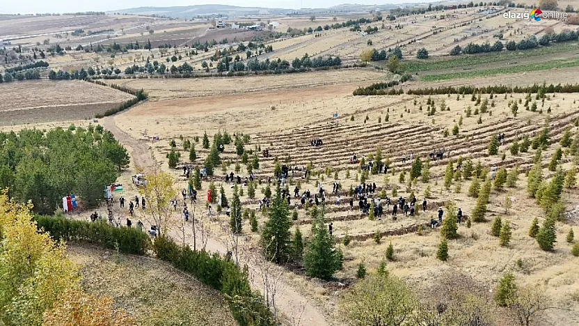 Fırat Üniversitesi'nden Minik Fidanlarla Büyük Mesaj: Barış ve İnsanlık için Etkinlik!
