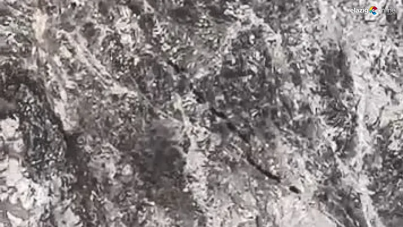 Kamerayı fark edince kaçtılar!