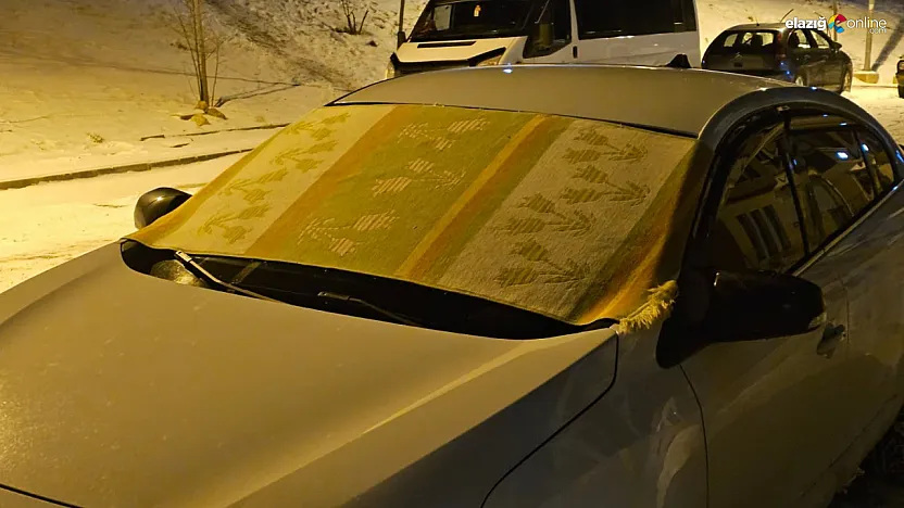 Gakgo usulü kış önlemi! Elazığ'da kilimler camlara serildi