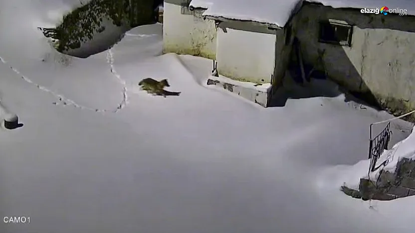 Baskilliler dikkat! Gece yarısı kapınızın önünde belirebilir