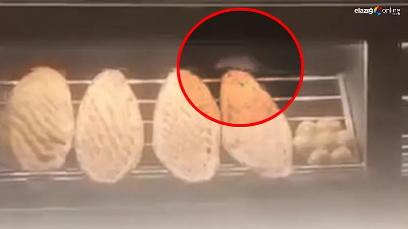 Elazığ'da Fare Görüntülenen Ekmek Fırınına 105 Bin TL Ceza!