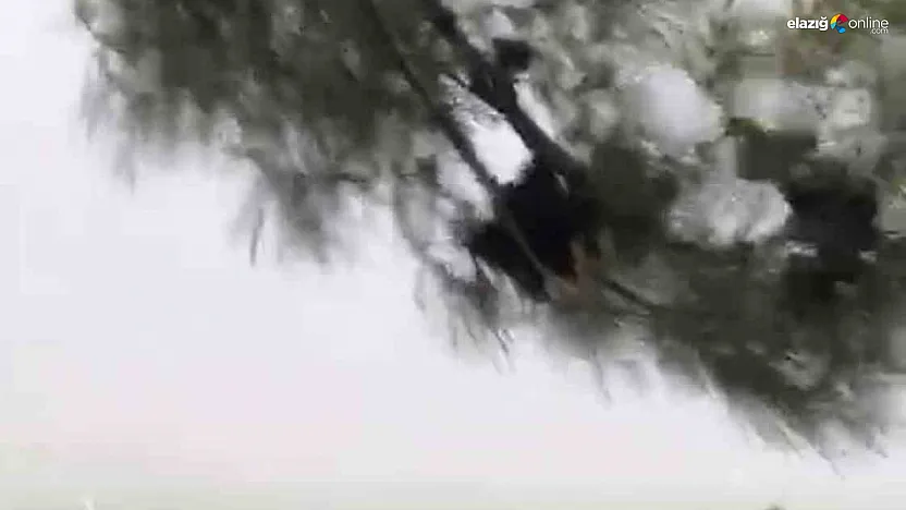 Koçkale Mevkiinde Fırtına Paniği: Elazığ'da Şiddetli Rüzgar Etkili Oldu!
