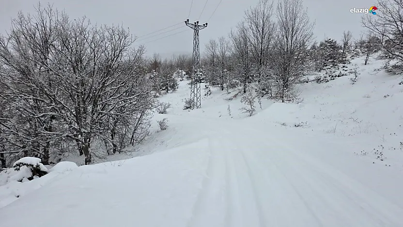 Elazığ'da beyaz alarm! 546 köyden 311'ine giriş çıkış yapılamıyor