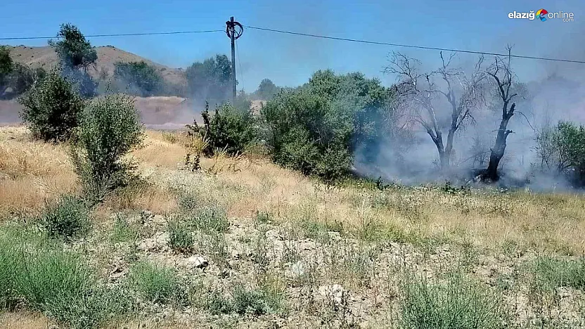 Keban'da Yangın Paniği: Onlarca Dönüm Alan Kül Oldu!